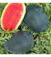 Watermelon IVWMH-751 50 grams